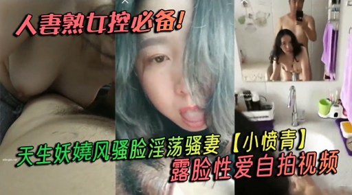 人妻熟女极品骚妻自拍露脸爆操内射高清