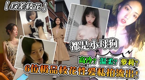 [无码流出] 反差校花沦陷记 温柔萝莉6位极品嫩穴私拍狂干